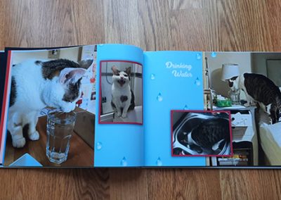a cat photobook showing a cat drinking water put of a cup